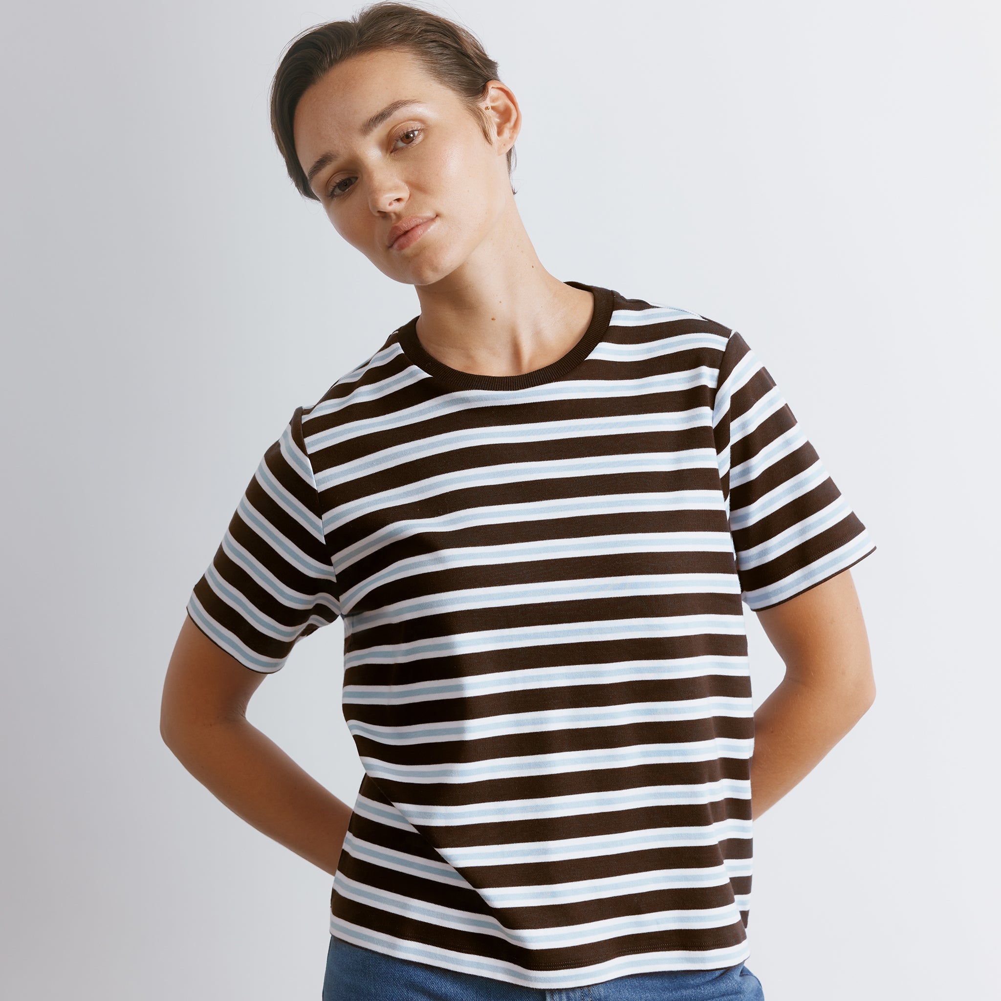 Chocolate Stripe T Shirt